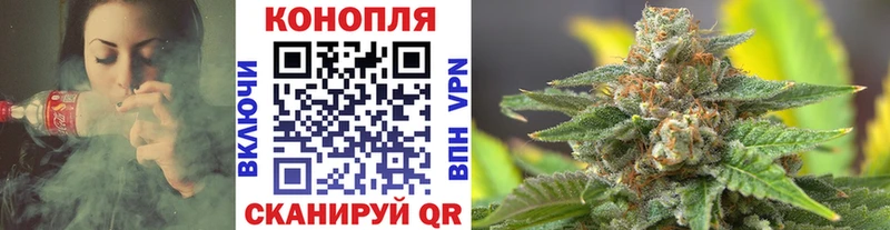 купить сайты Сунжа Каннабис THC 21%